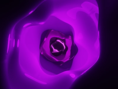 Purple color palette from curated photo